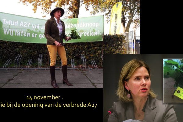 Duizendknoop-05 Duizendknoop-05