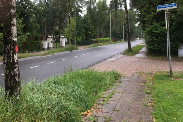 210715_Tolakkerweg_2236