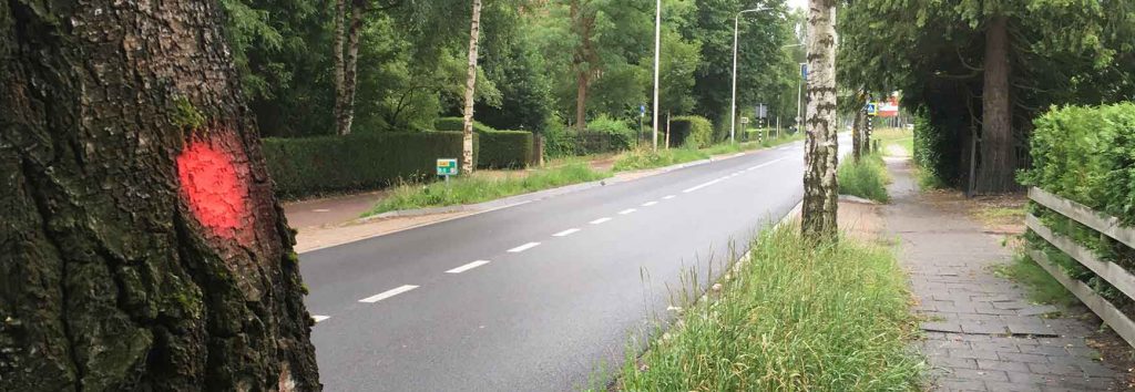 Tolakkerweg: bomen worden geveld