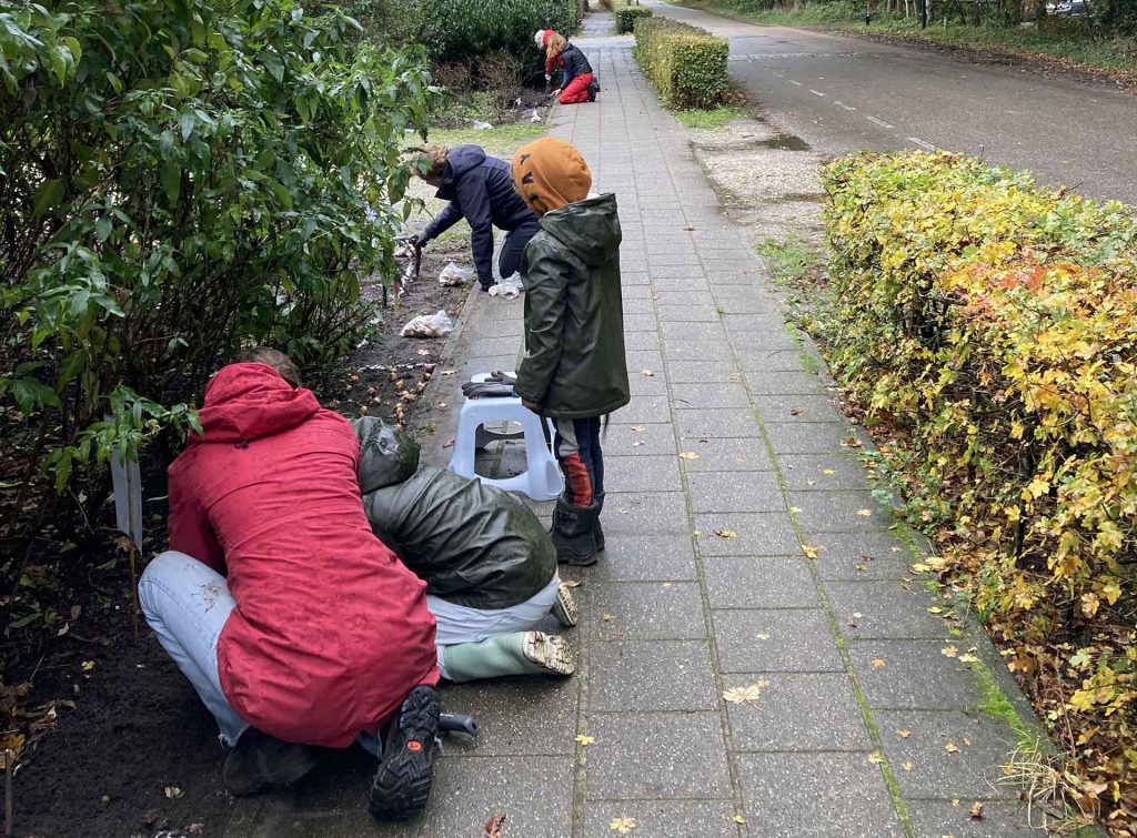 Bloembollen planten Vuursche dreef