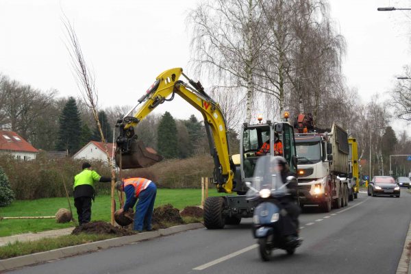 220124_Tolakkerweg_berken_0016