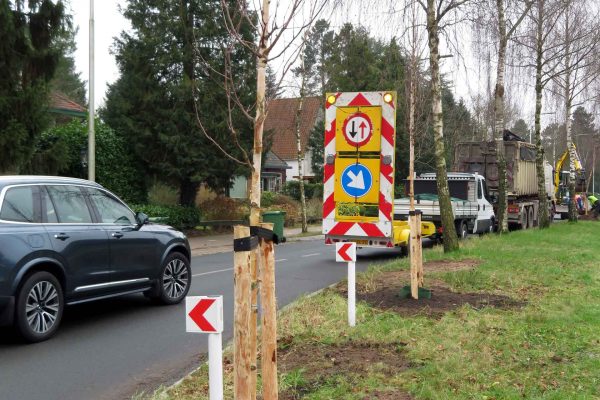 220124_Tolakkerweg_berken_0020