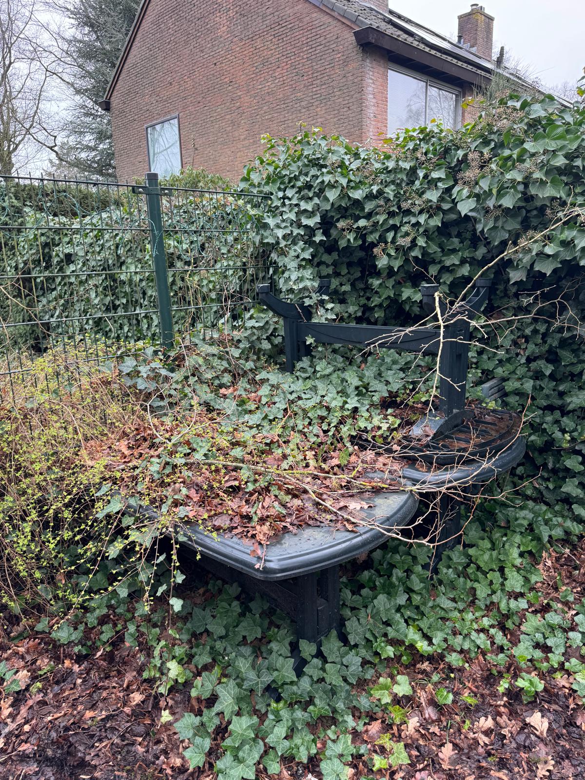 Dorpshuis onder handen genomen